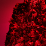 Naphthol Red Heavy Texture